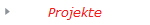 Projekte